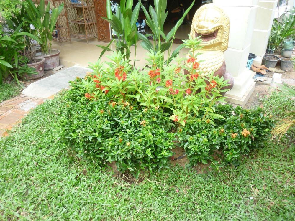 Angkor Reas Guesthouse Sziemreap Kültér fotó